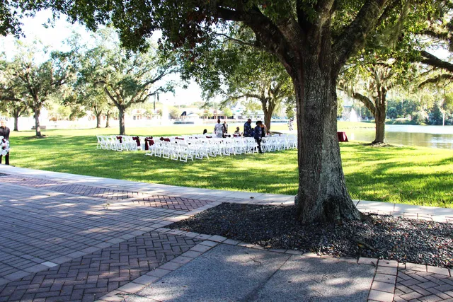 a view of a yard with a tree and plants