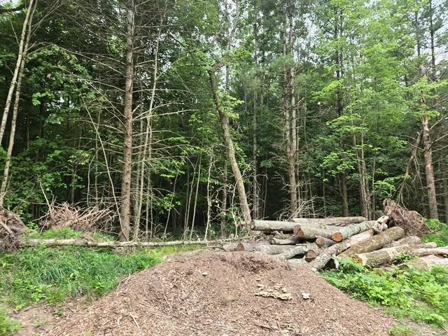 $59,900 | 5369 East 68th Street, Chase, MI 49623