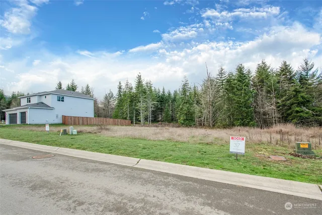 a view of a dry yard with wooden fence