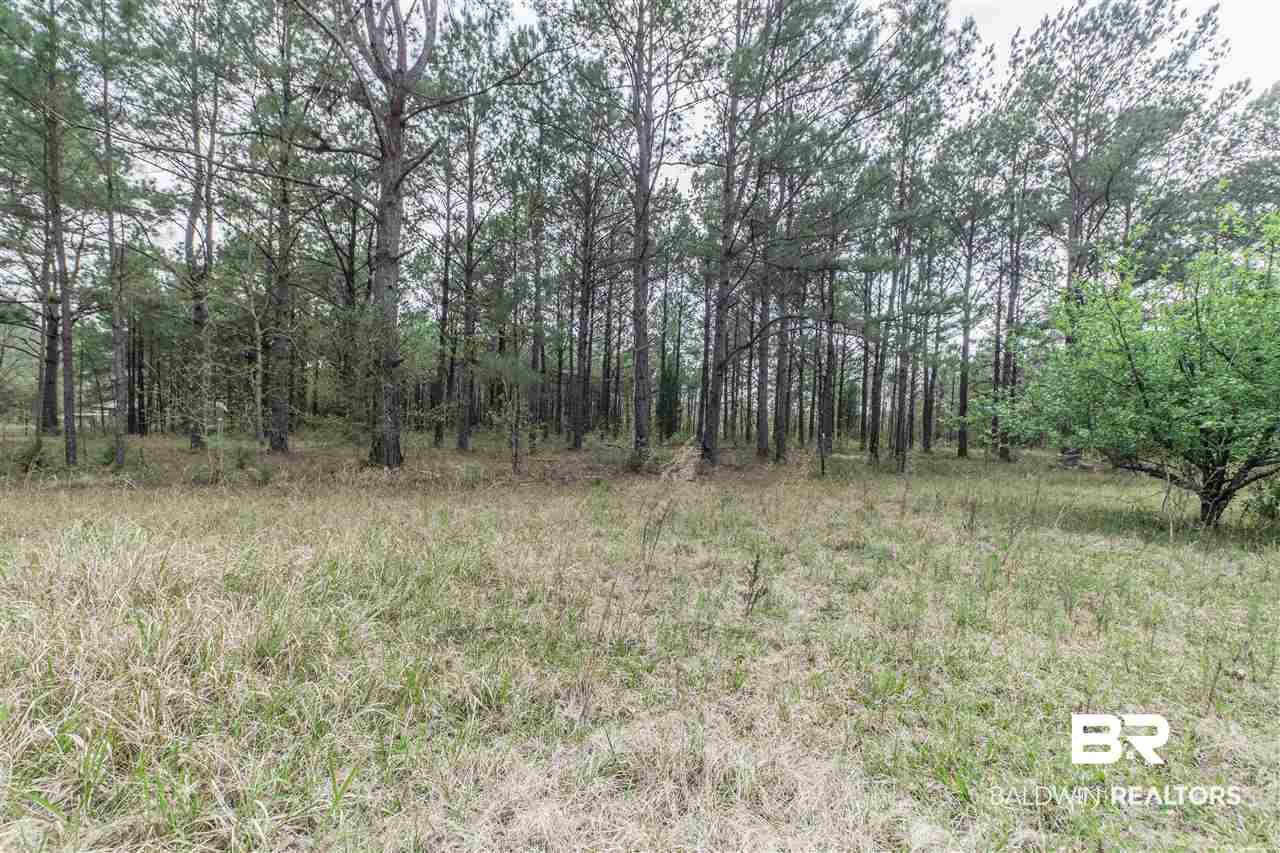 1000 Grimsley Road Creola, AL 36525 - Photo 13 of 15