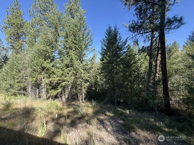 293 Blue Meadow Road Tonasket, WA 98855 - Photo 23 of 25