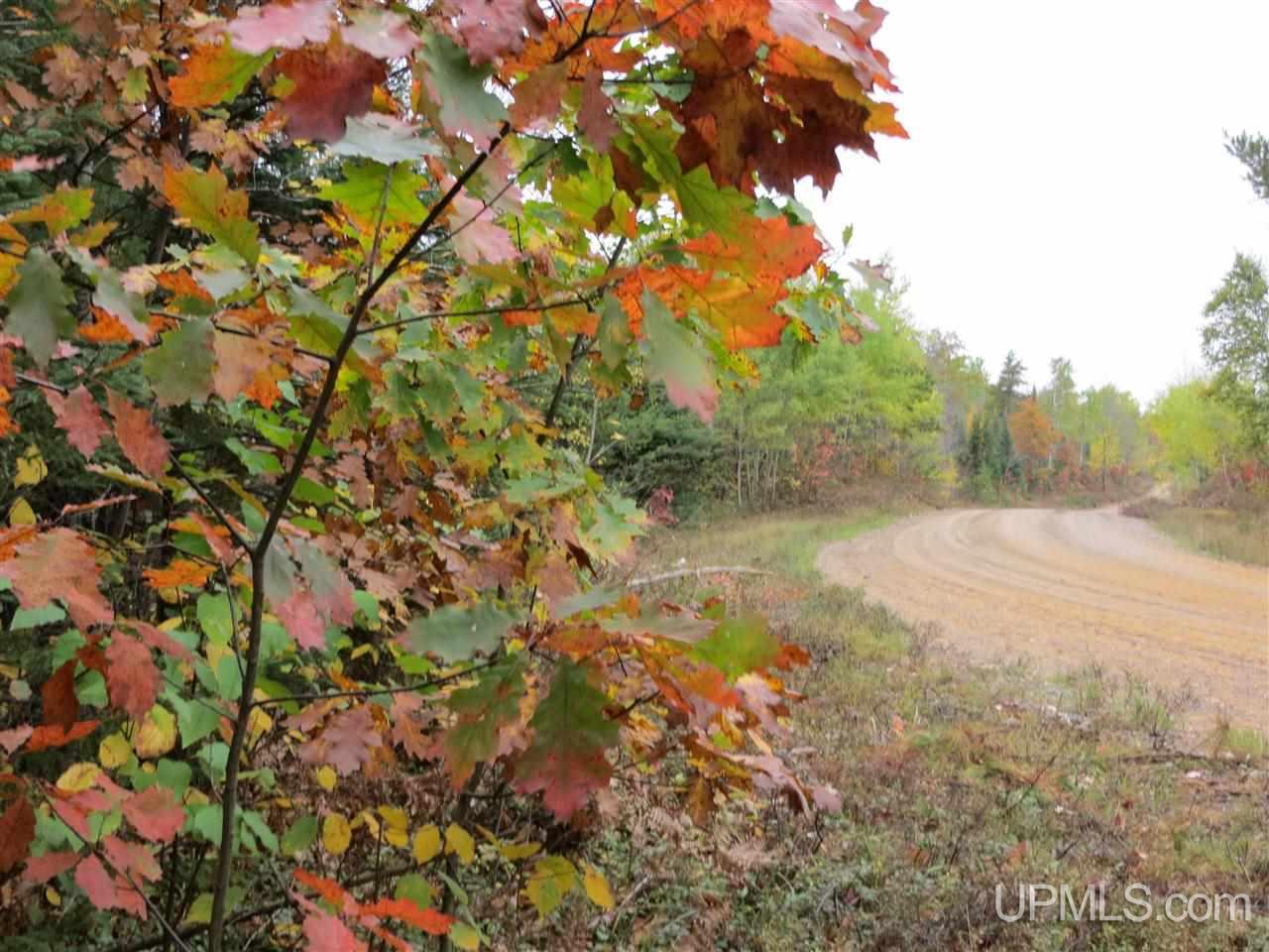 Tbd Co Rd Ff Republic, MI 49879 - Photo 26 of 29