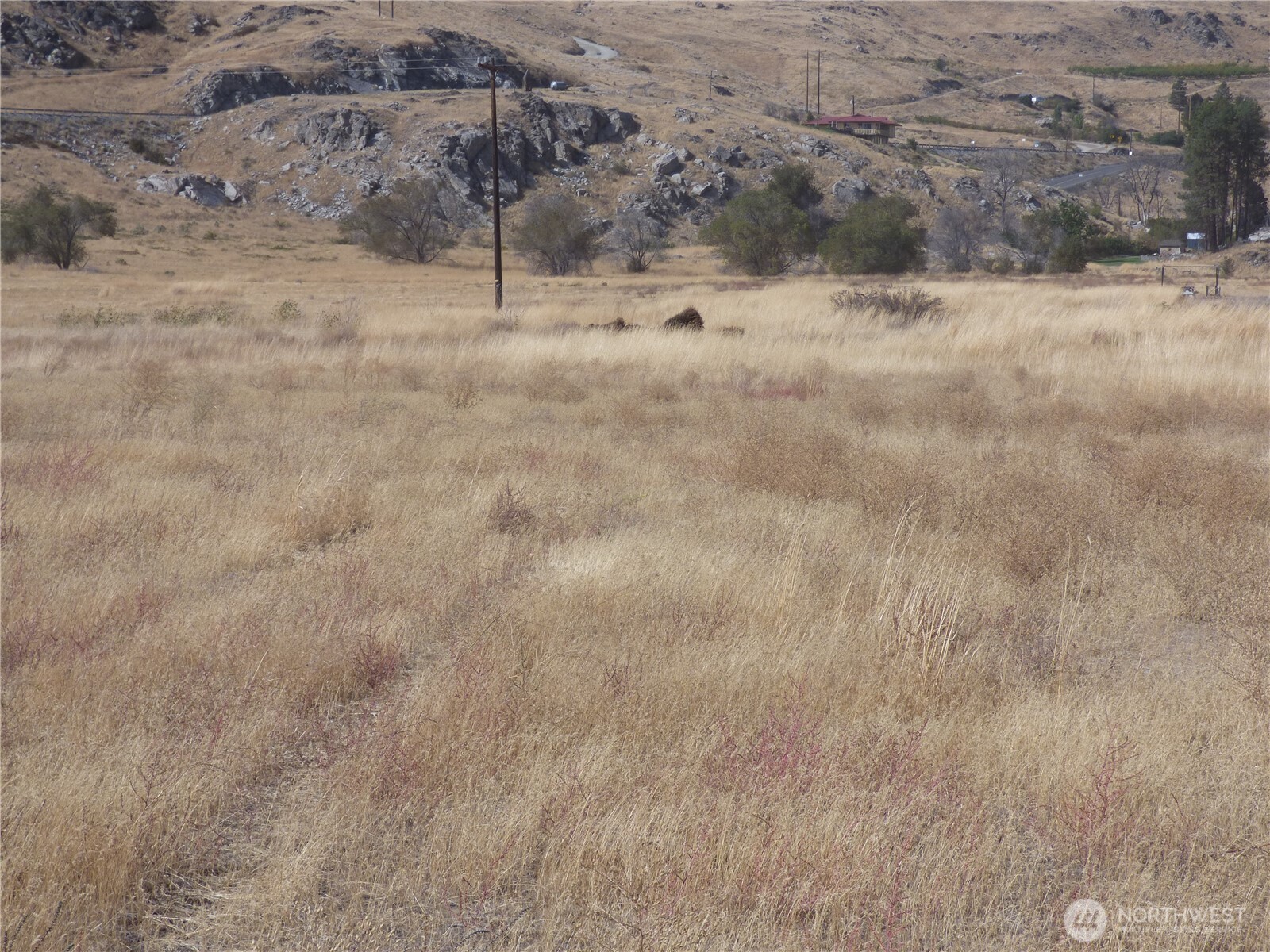 0 Sr 173 Bridgeport, WA 98813 - Photo 5 of 15 a view of a dry field of the house