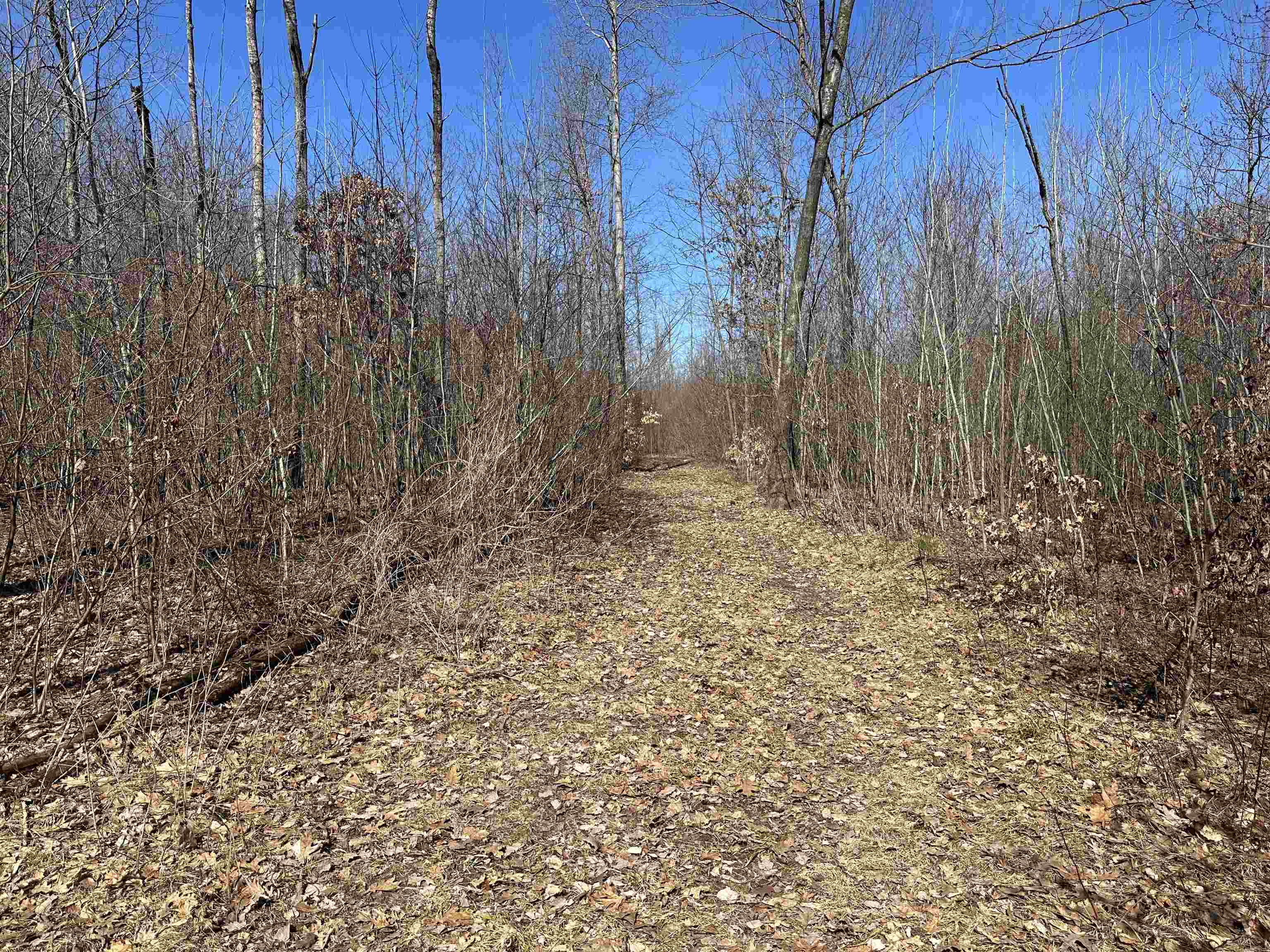 620 West Clarence Road Harrison, MI 48625 - Photo 1 of 11
