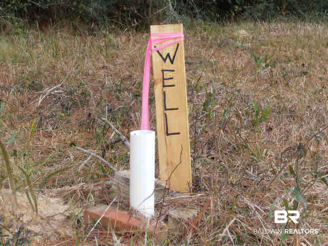 29409 Archie Road Elberta, AL 36530 - Photo 13 of 20 Well site