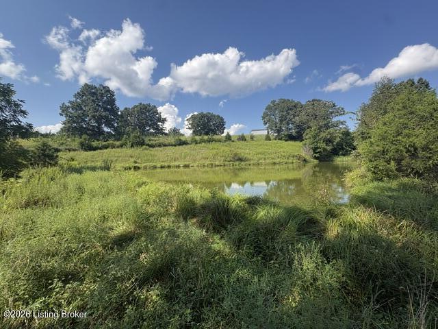 1390 Timber Creek Road Bloomfield, KY 40008 - Photo 10 of 12 IMG_4375