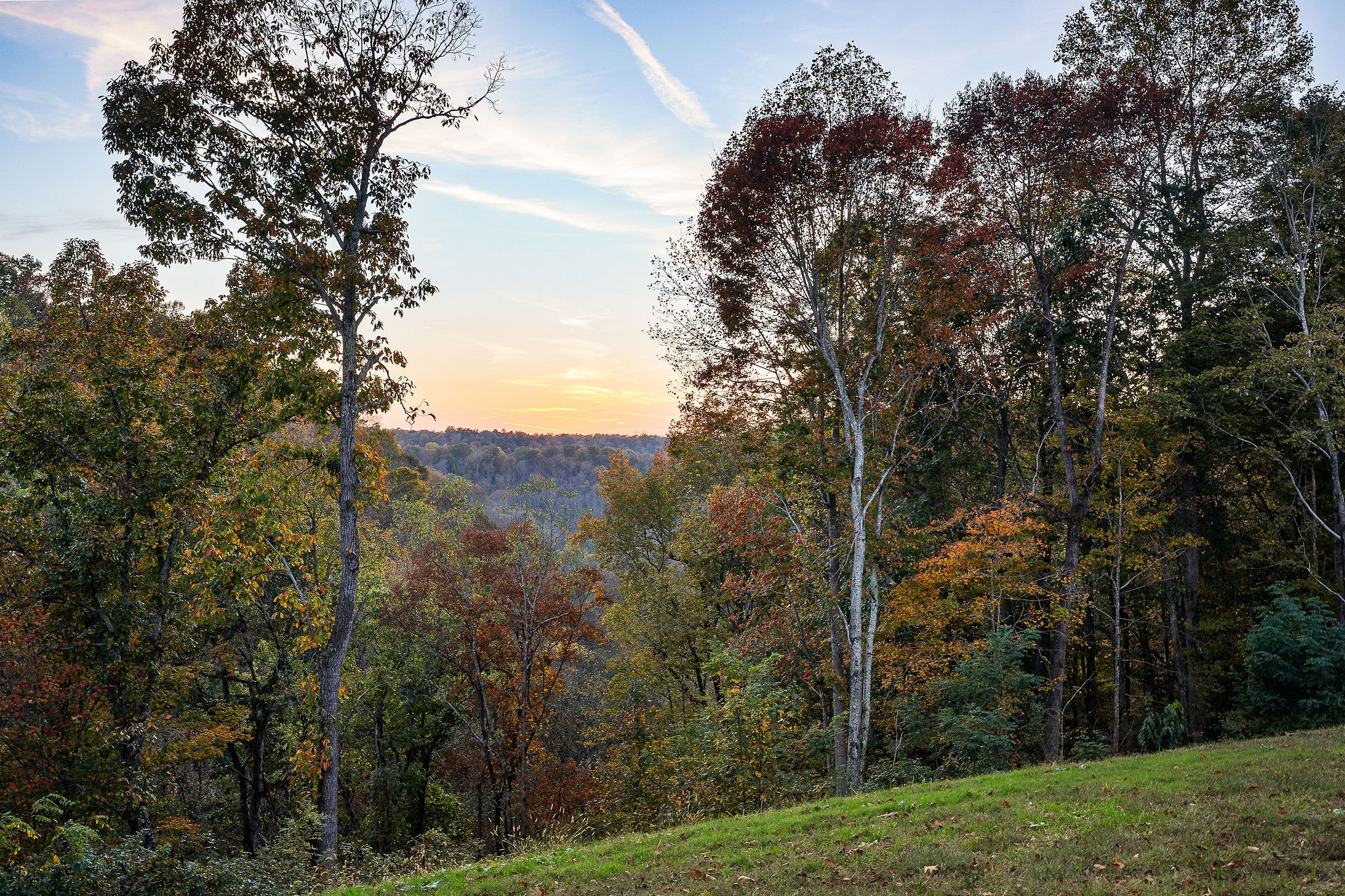 11564 Pete Carr Ridge Road Silver Point, TN 38582 - Photo 58 of 61