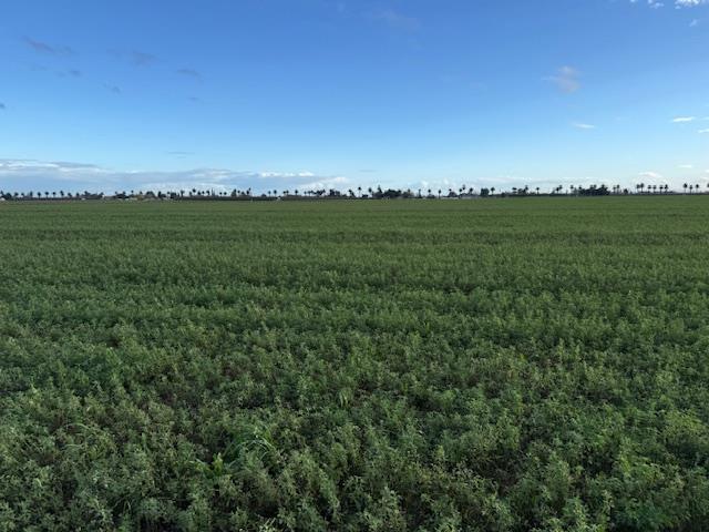 1430 Walnut Avenue Patterson, CA 95363 - Photo 2 of 8 an aerial view of residential houses with outdoor space