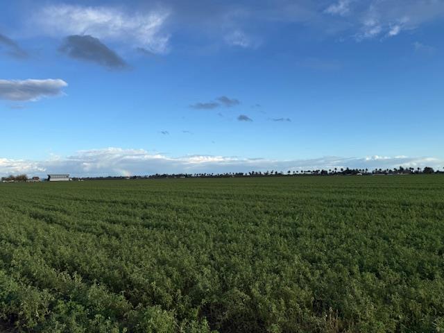 1430 Walnut Avenue Patterson, CA 95363 - Photo 5 of 8 a view of a green field with clear sky