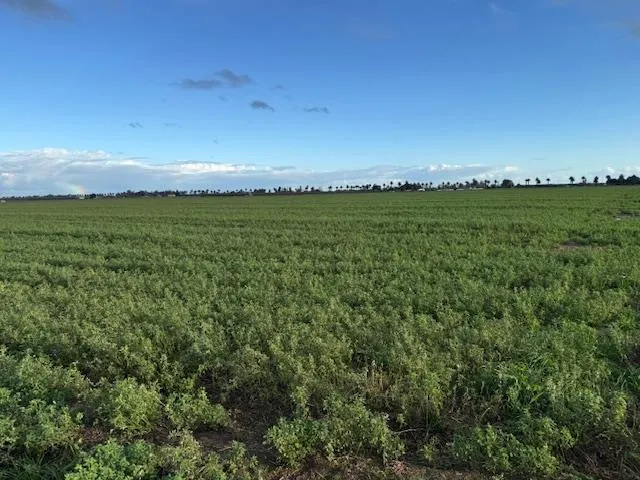 a view of a lake and green valley