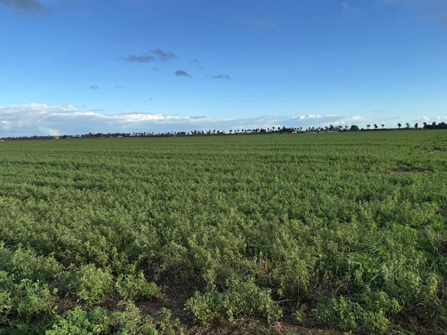 1430 Walnut Avenue Patterson, CA 95363 - Photo 6 of 8