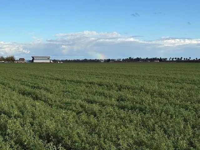 a black and white photo of a living room