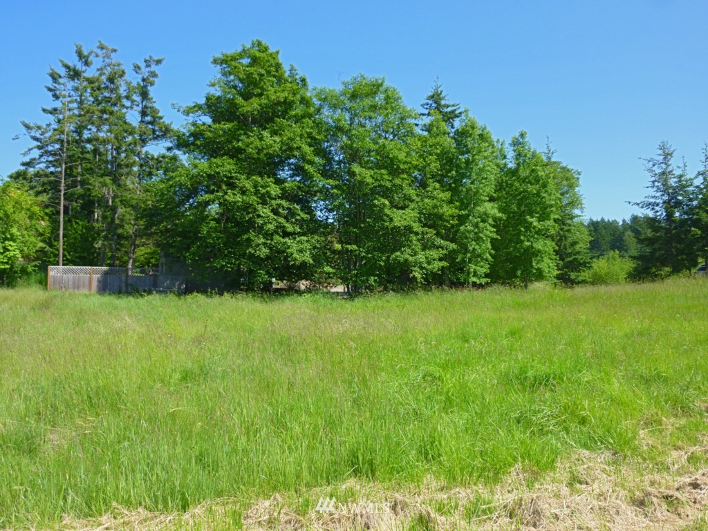 20 Channel Road Orcas Island, WA 98245 - Photo 22 of 25 Gallery Image 22