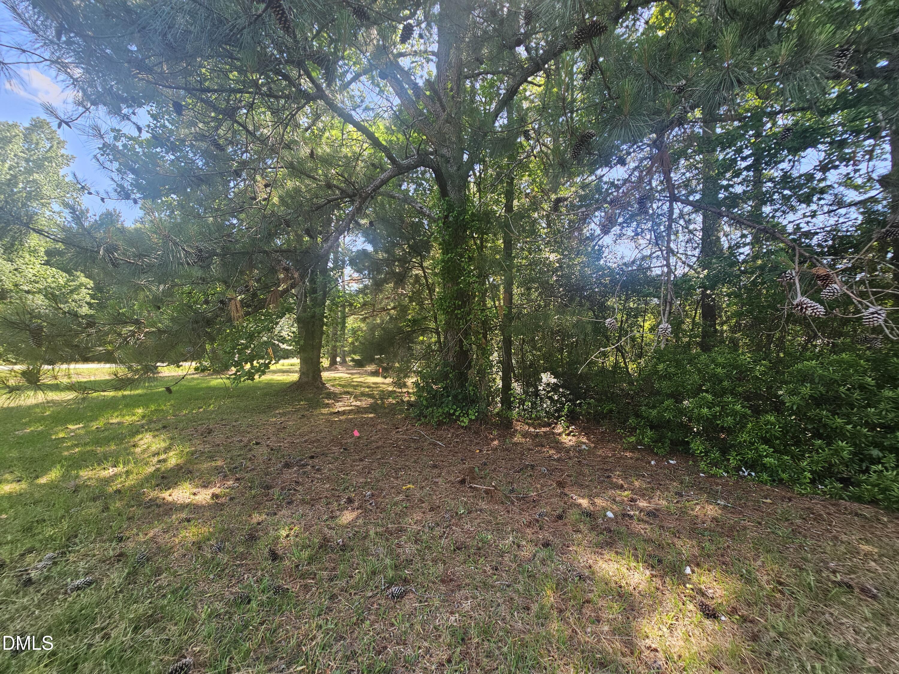 1261 Whitley Road Middlesex, NC 27557 - Photo 7 of 7 a view of a forest with trees