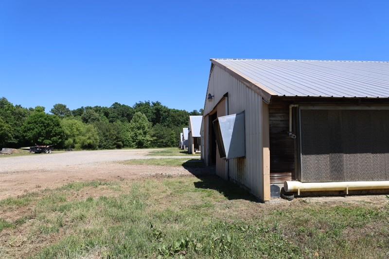 1600 Will Evans Road Chatsworth, GA 30705 - Photo 7 of 79