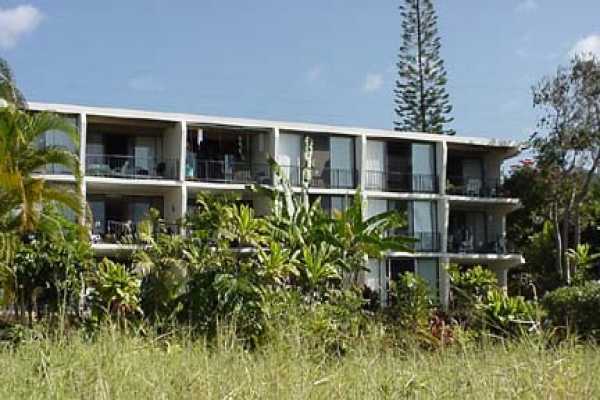 Hawaii Belt Highway, Unit 2B Captain Cook, HI 96704 - Photo 2 of 3 a house with trees in front of it