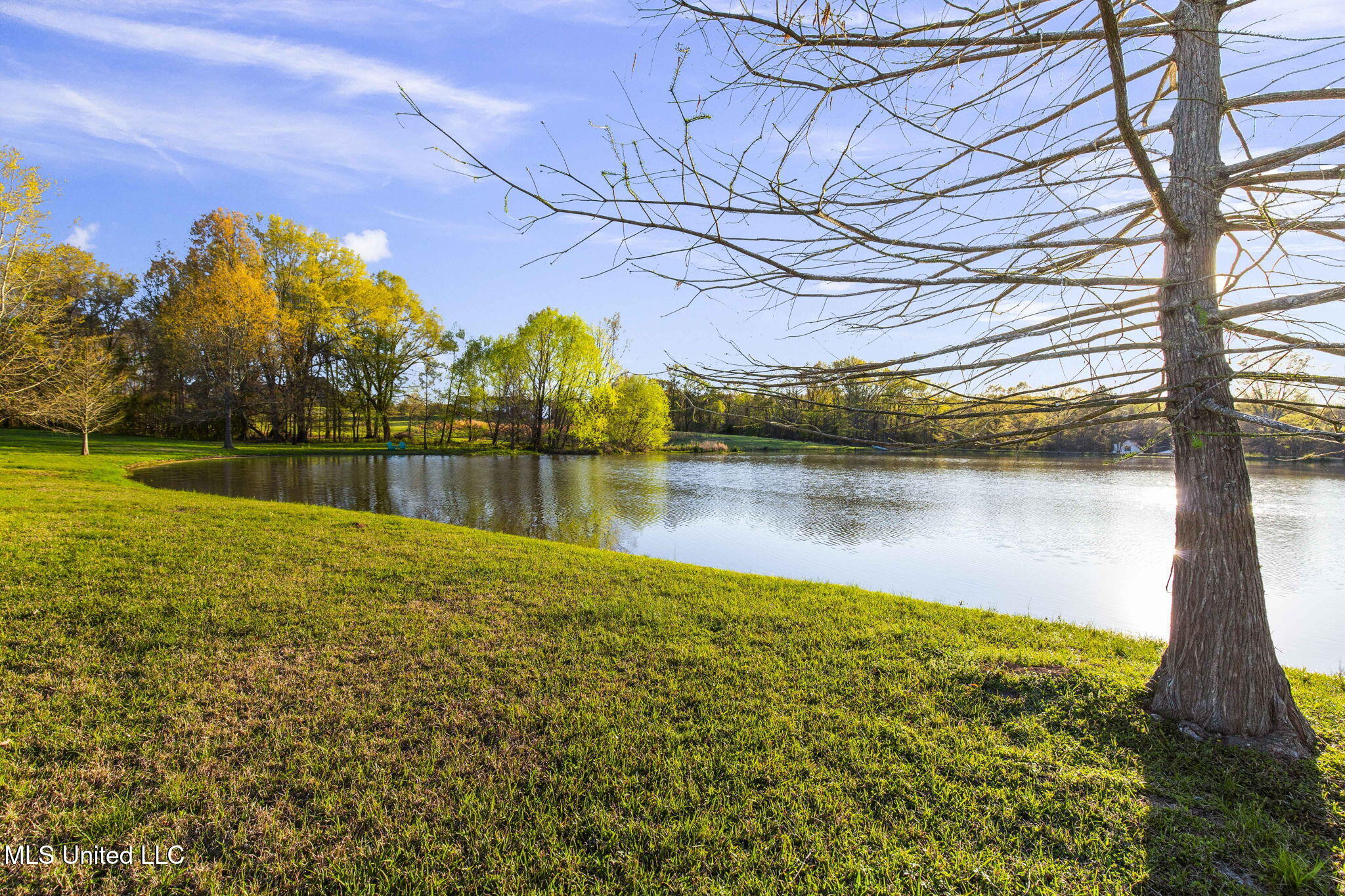 106 Chestnut Hill Road Flora, MS 39071 - Photo 76 of 88 89-web-or-mls-106 Chestnut Hill-89