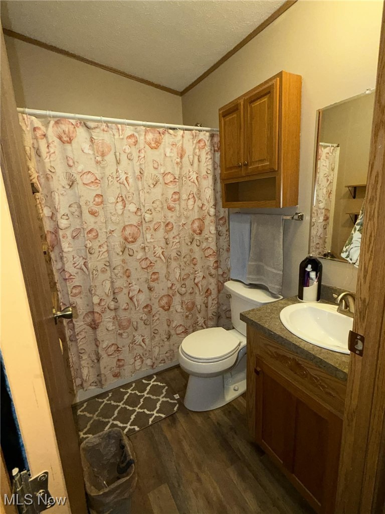 56 3rd Street Rayland, OH 43943 - Photo 41 of 46 Full bath featuring ornamental molding, dark wood-style flooring, vanity, a shower with shower curtain, and a textured ceiling