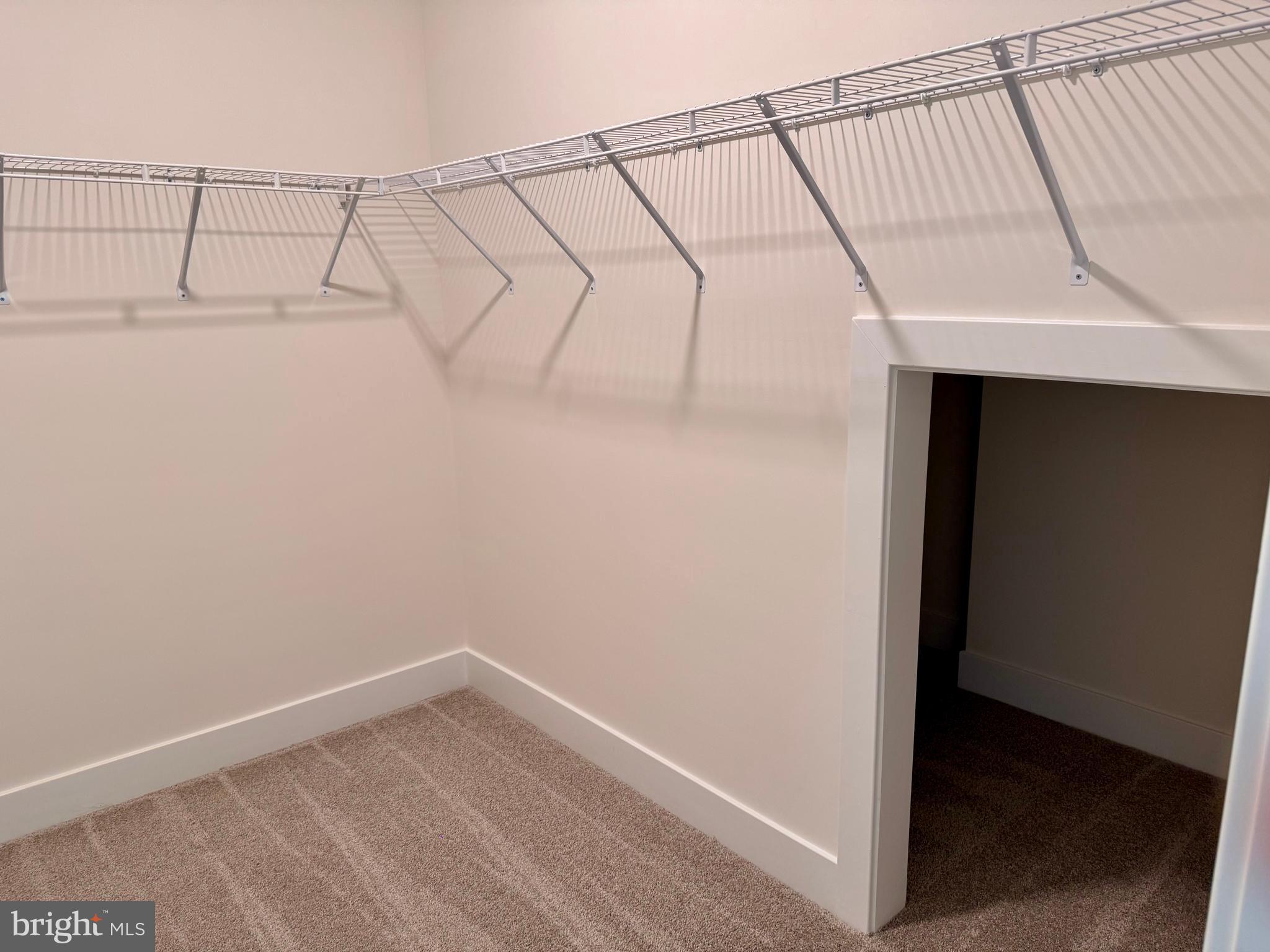 24877 Stevenson Road Millsboro, DE 19966 - Photo 17 of 22 Dual Master Closets