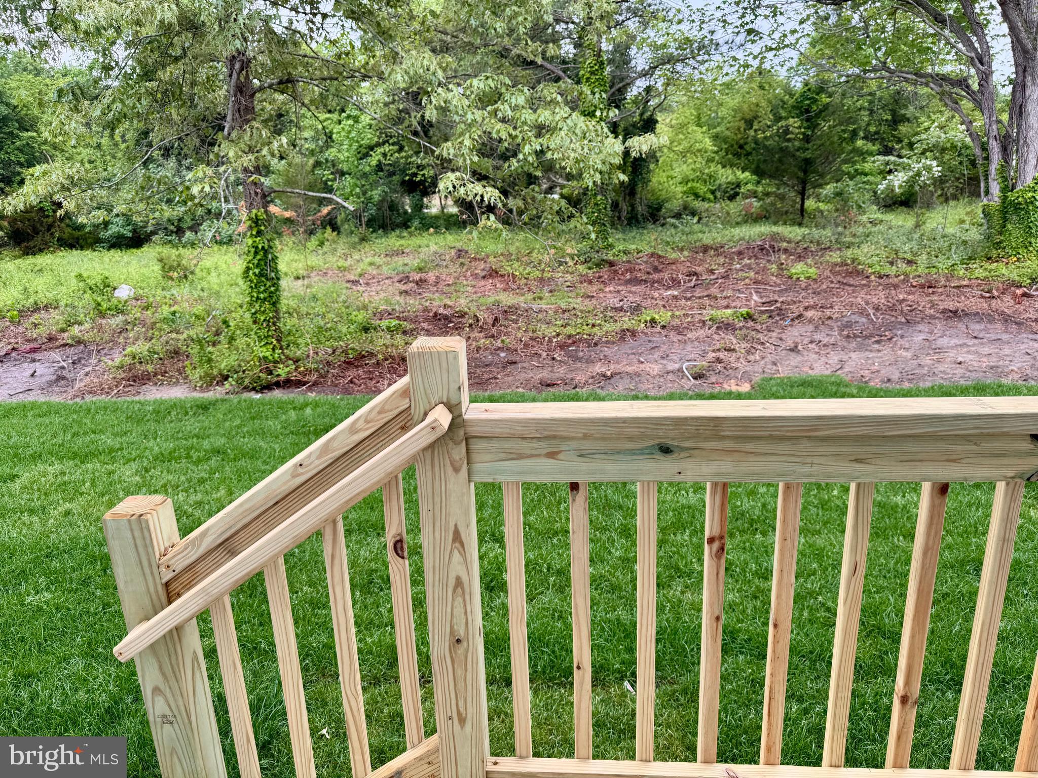 24877 Stevenson Road Millsboro, DE 19966 - Photo 5 of 22 Rear Yard