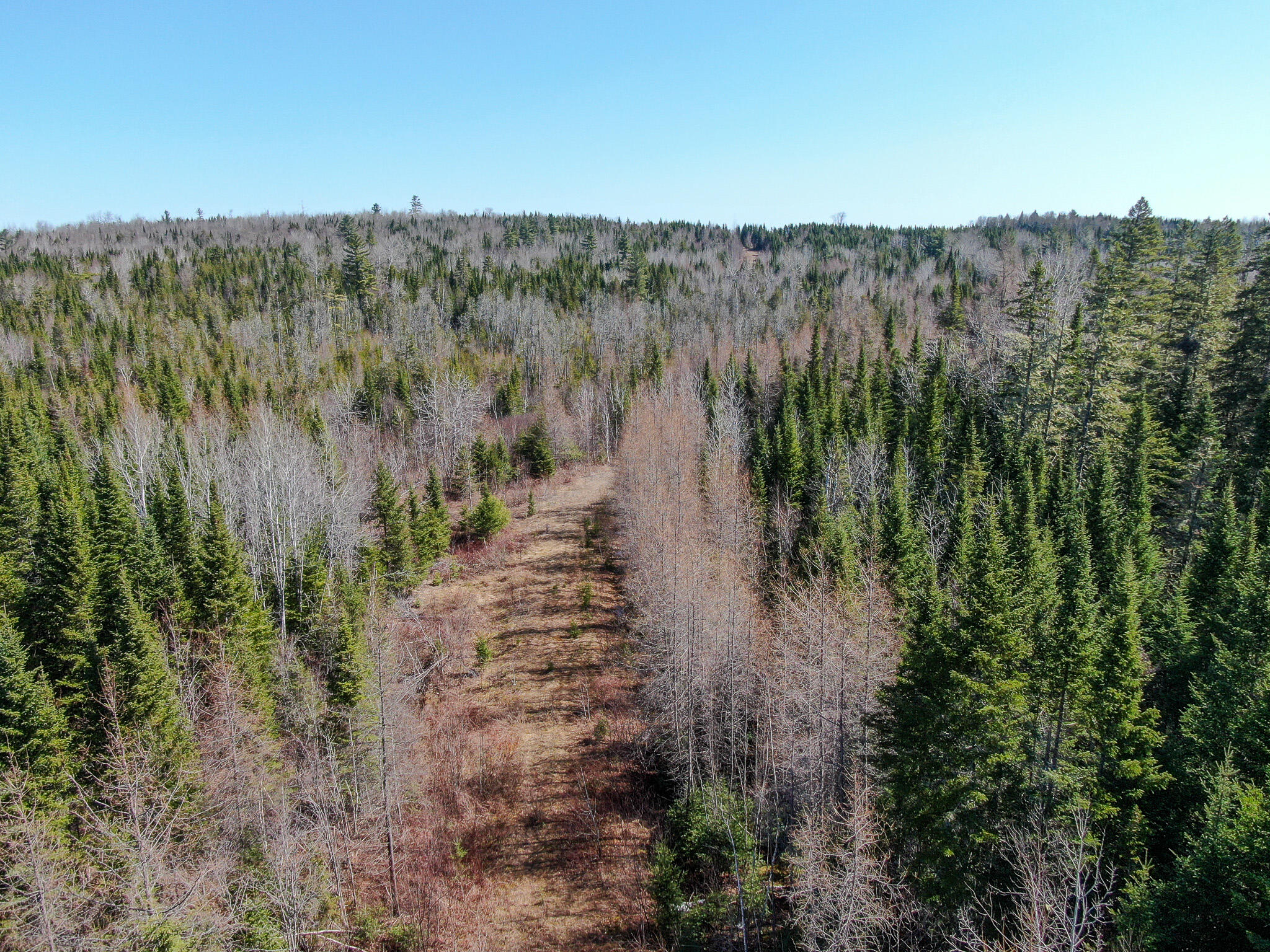 144 Black Water Road Ashland, ME 04732 - Photo 2 of 35 DJI_0212