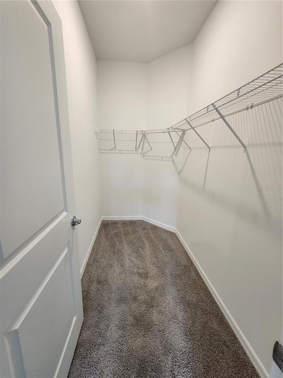 32760 Rustic Rise Road San Antonio, FL 33576 - Photo 13 of 27 a view of a room with racks on the wall