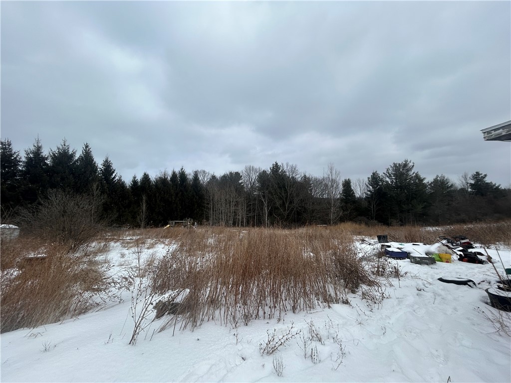 1704 County Rte 5 Tuscarora, NY 14801 - Photo 3 of 3