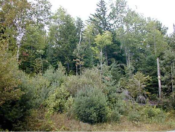 32.08 Ranch Road Bethlehem, NH 03574 - Photo 1 of 2