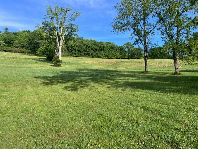 0 Delina Road Petersburg, TN 37144 - Photo 1 of 2 Gallery Image 1