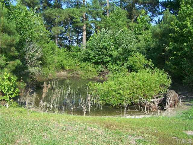 11223 Raleigh Road Four Oaks, NC 27524 - Photo 17 of 24 Pond