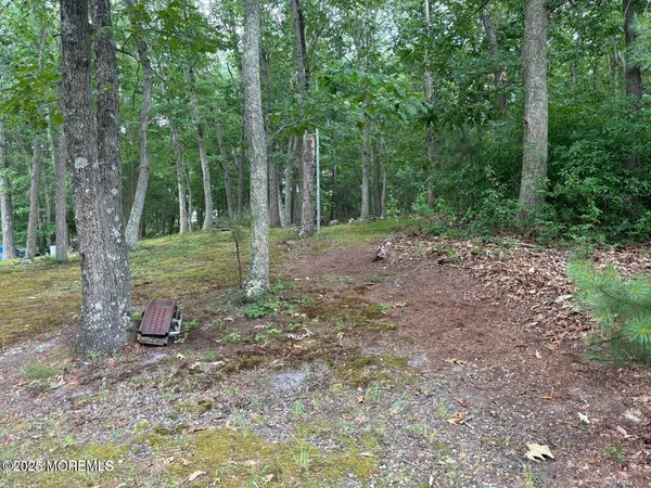 a ground with lots of green space and trees