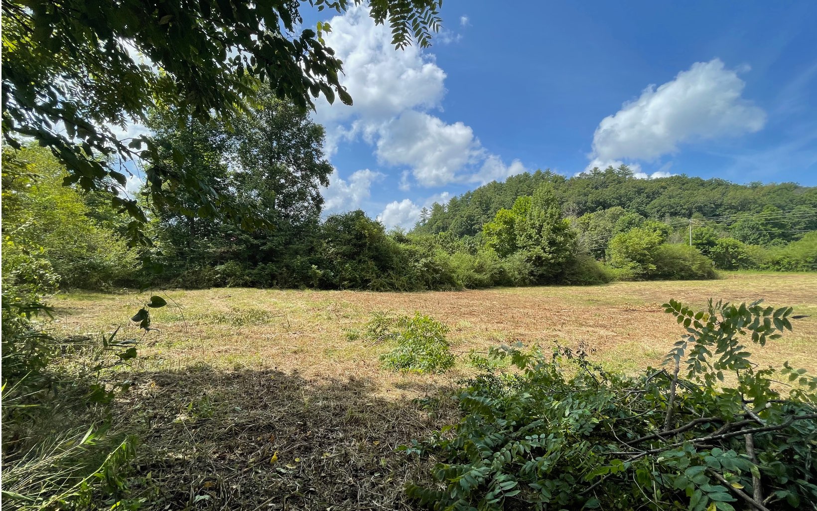 1914 Whitepath Road Ellijay, GA 30540 - Photo 4 of 4 Additional View