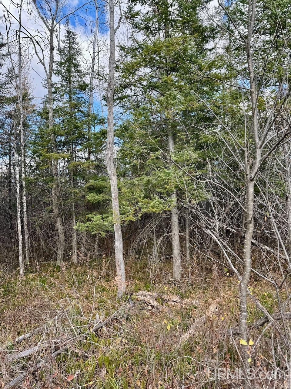 27.5 Rd 52 Ac Trail Gladstone, MI 49837 - Photo 14 of 20