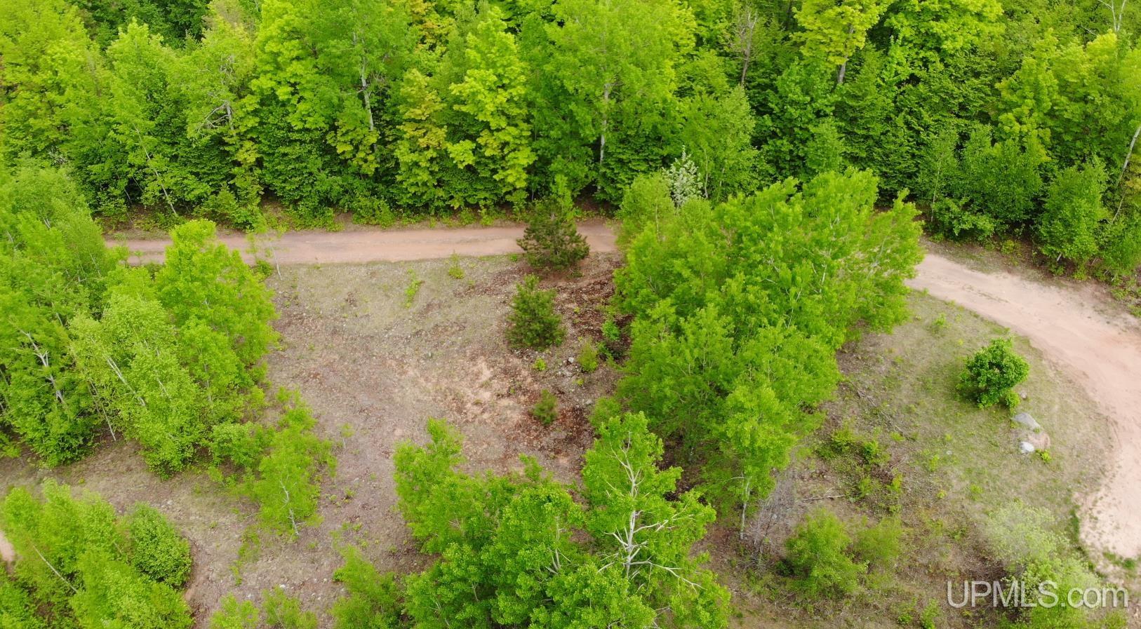 Tbd 1 Off M28 Road Trout Creek, MI 49967 - Photo 8 of 24