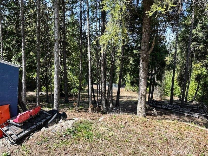 2467-xx Widow Road Colville, WA 99114 - Photo 18 of 50