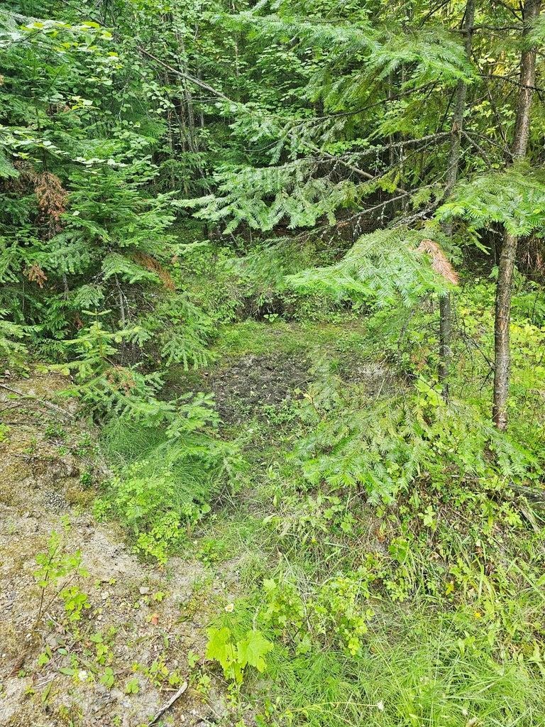 2467-xx Widow Road Colville, WA 99114 - Photo 25 of 50