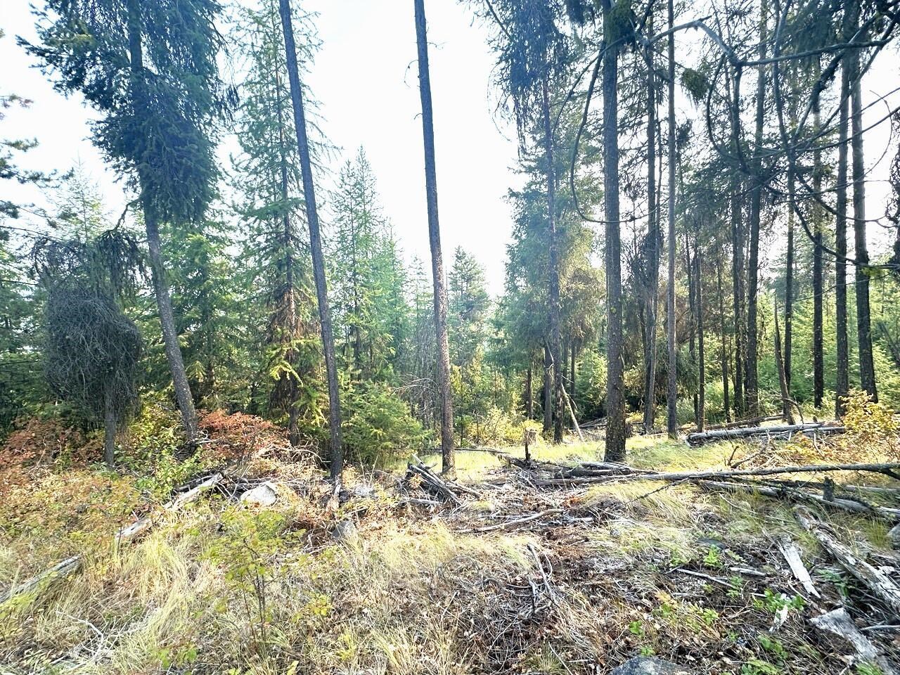 2467-xx Widow Road Colville, WA 99114 - Photo 30 of 50