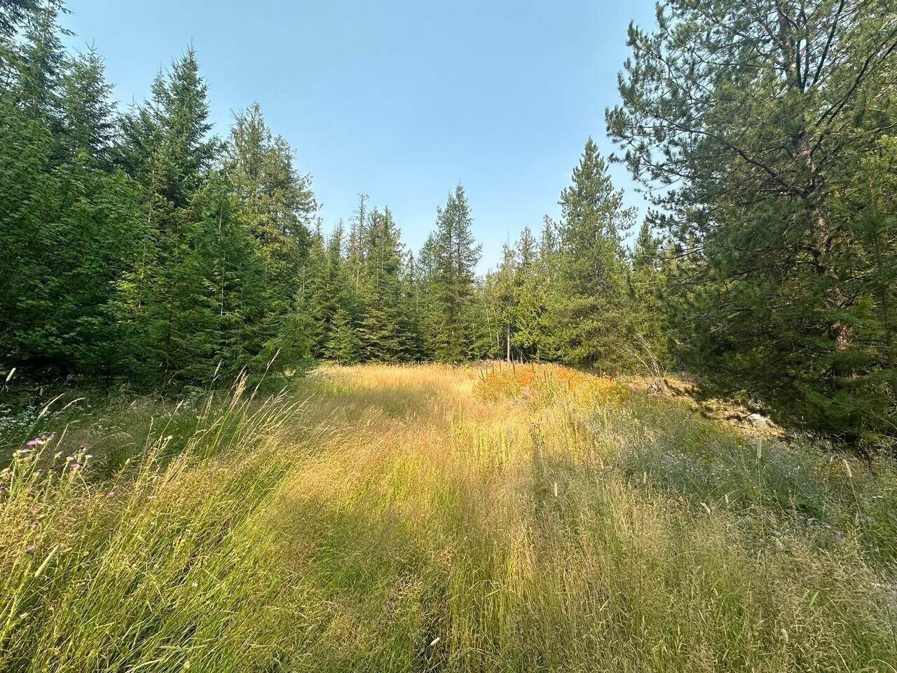 2467-xx Widow Road Colville, WA 99114 - Photo 33 of 50