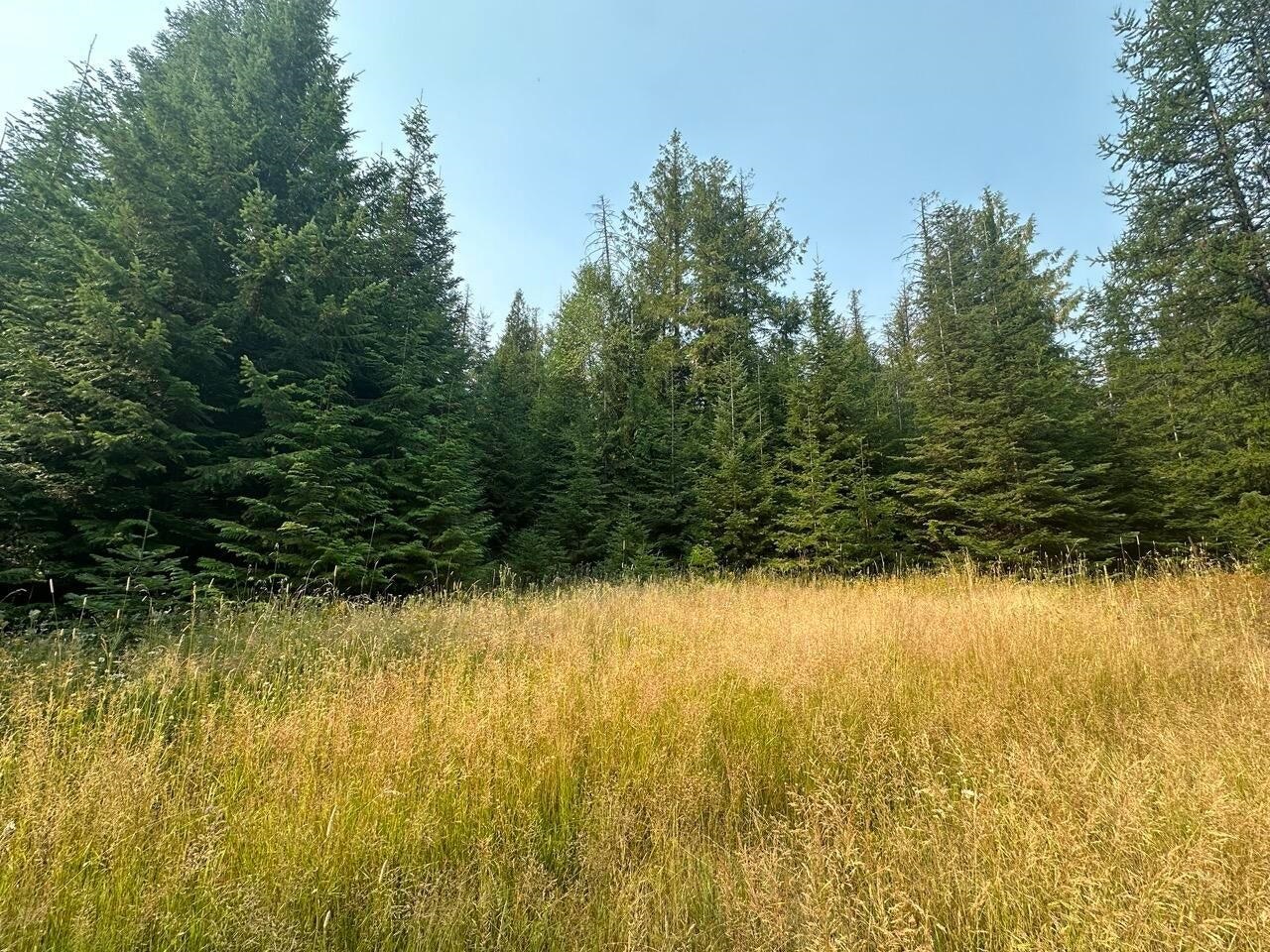 2467-xx Widow Road Colville, WA 99114 - Photo 34 of 50