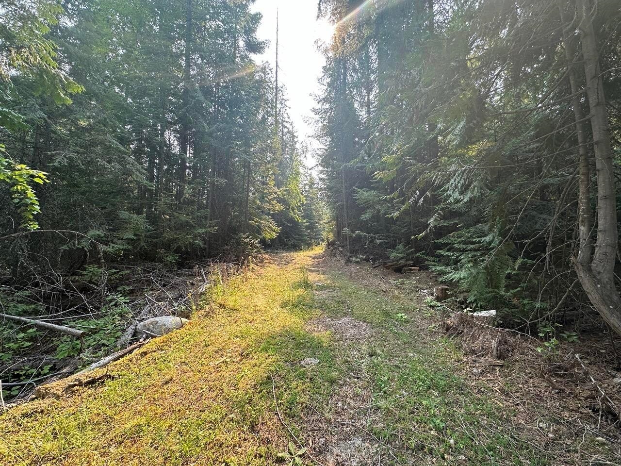 2467-xx Widow Road Colville, WA 99114 - Photo 37 of 50