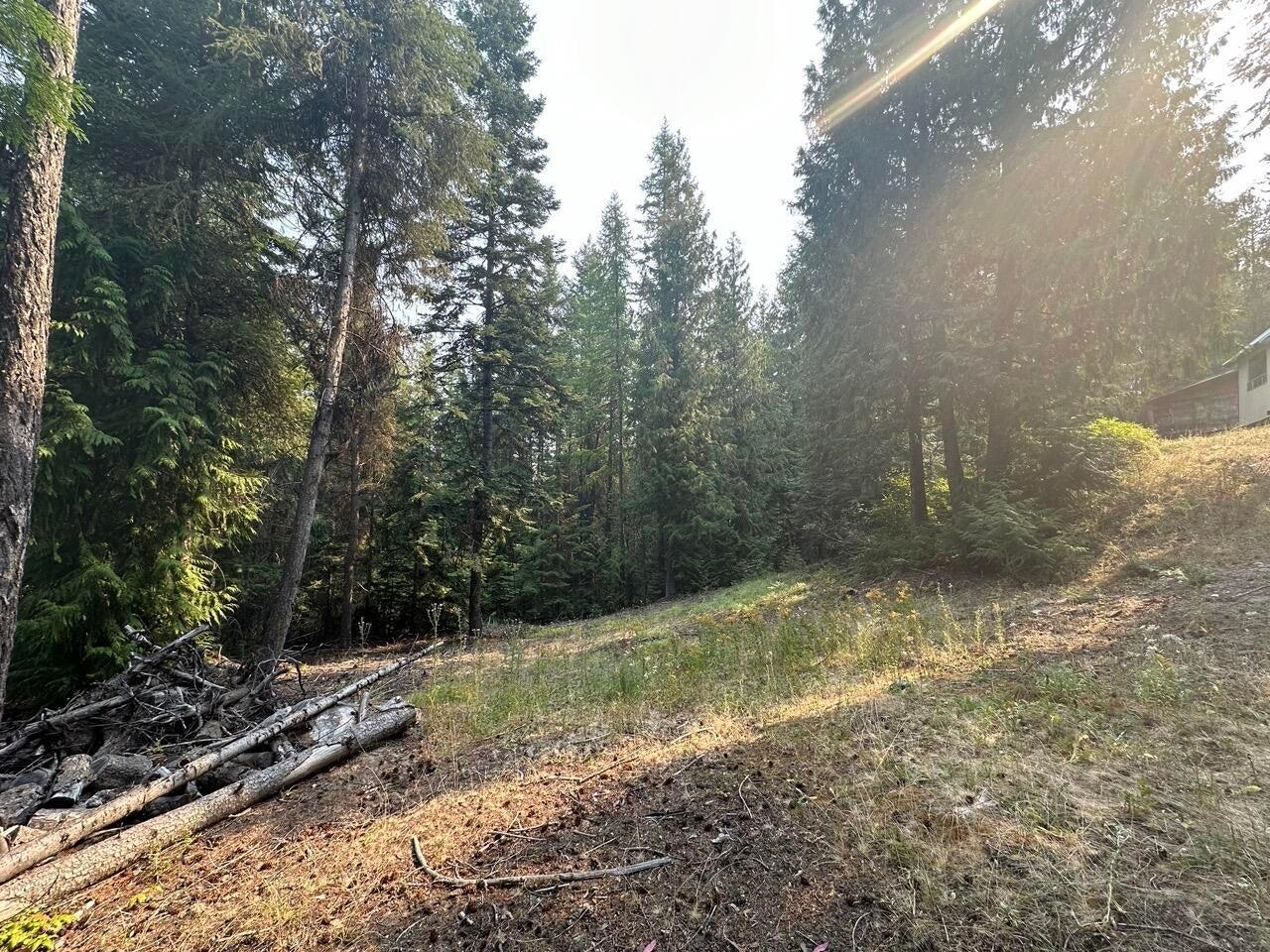 2467-xx Widow Road Colville, WA 99114 - Photo 39 of 50