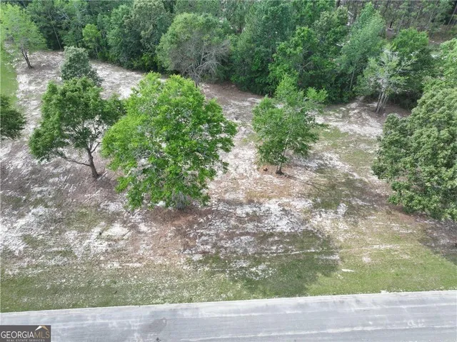 a view of a pathway both side of yard