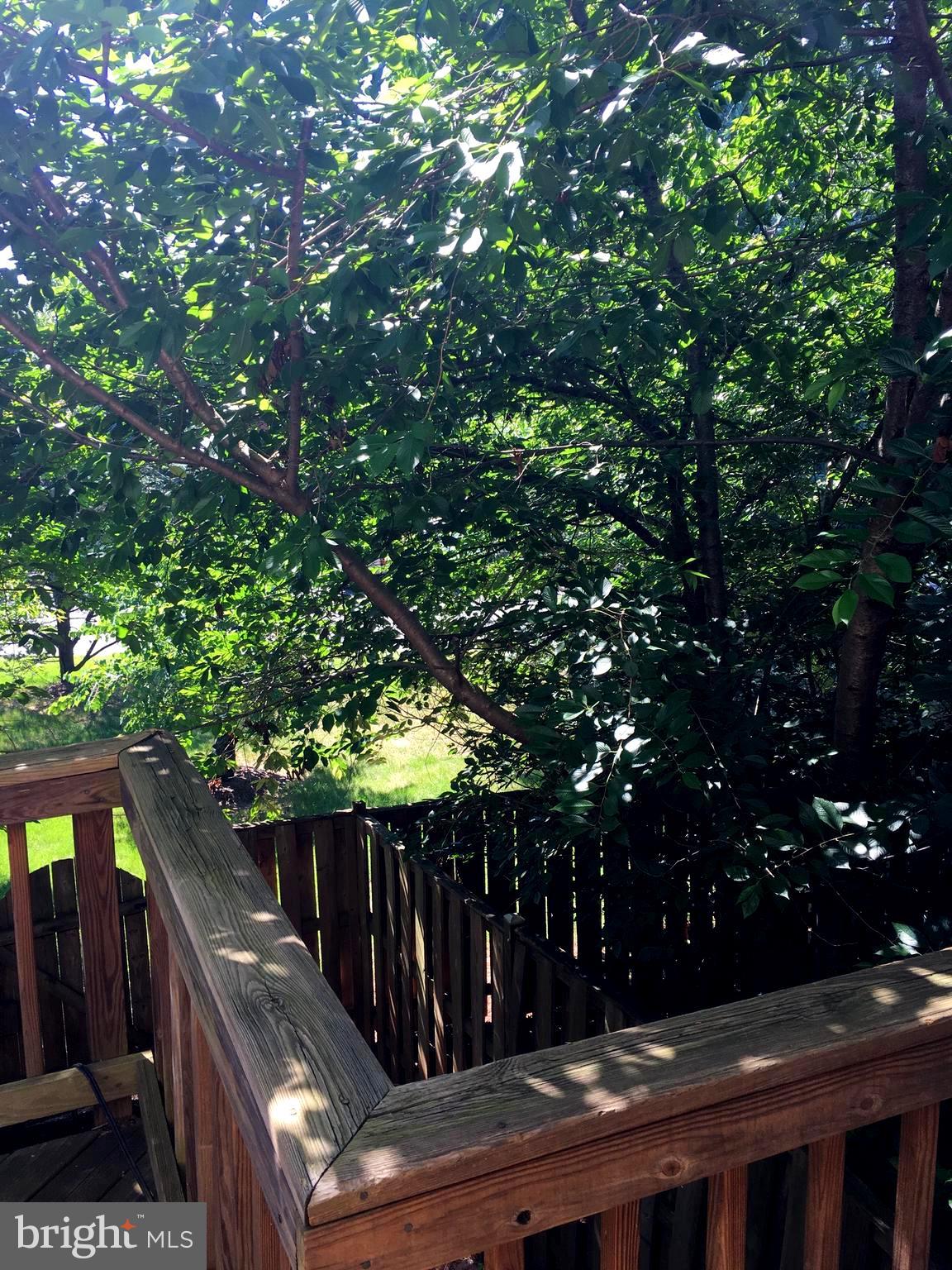 43506 Postrail Square Ashburn, VA 20147 - Photo 22 of 59 Shaded wood deck provides lots of privacy