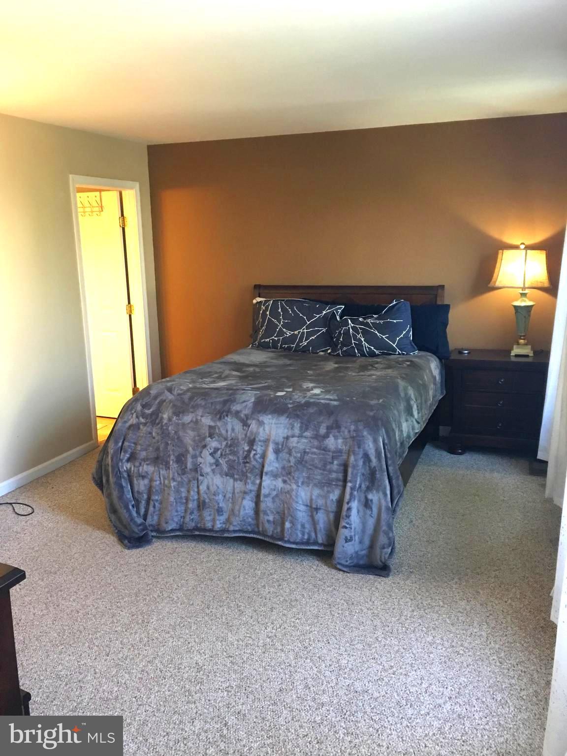 43506 Postrail Square Ashburn, VA 20147 - Photo 25 of 59 Master bedroom with carpet