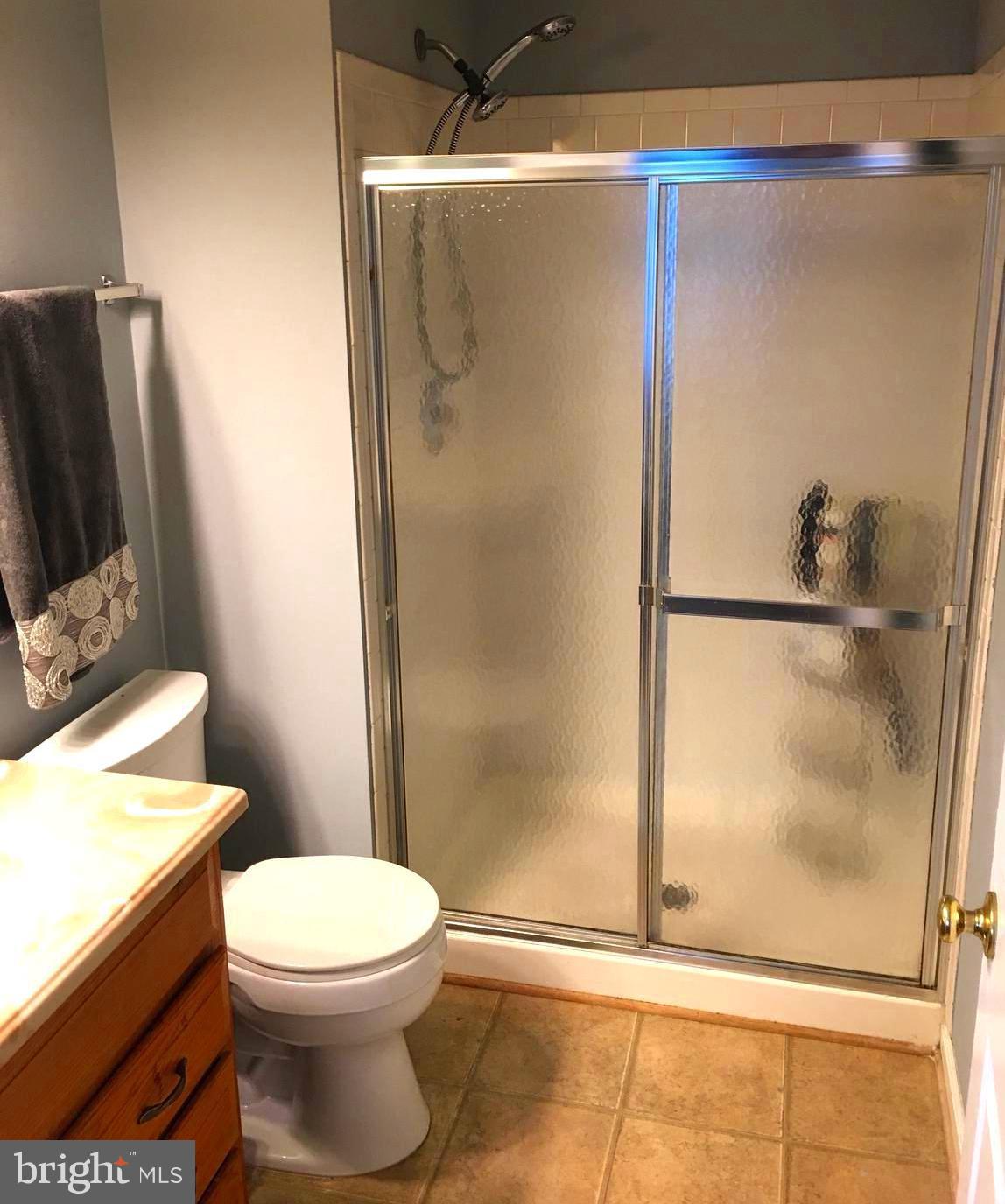 43506 Postrail Square Ashburn, VA 20147 - Photo 29 of 59 Master bath with walkin shower