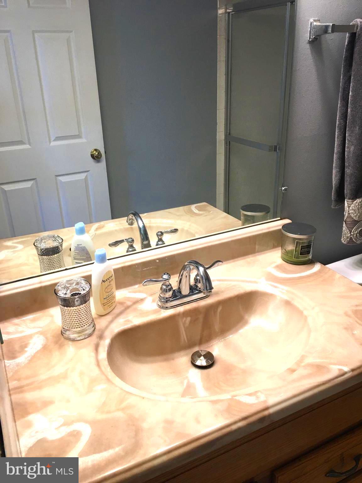 43506 Postrail Square Ashburn, VA 20147 - Photo 30 of 59 Master Bath Sink with lots of counter space