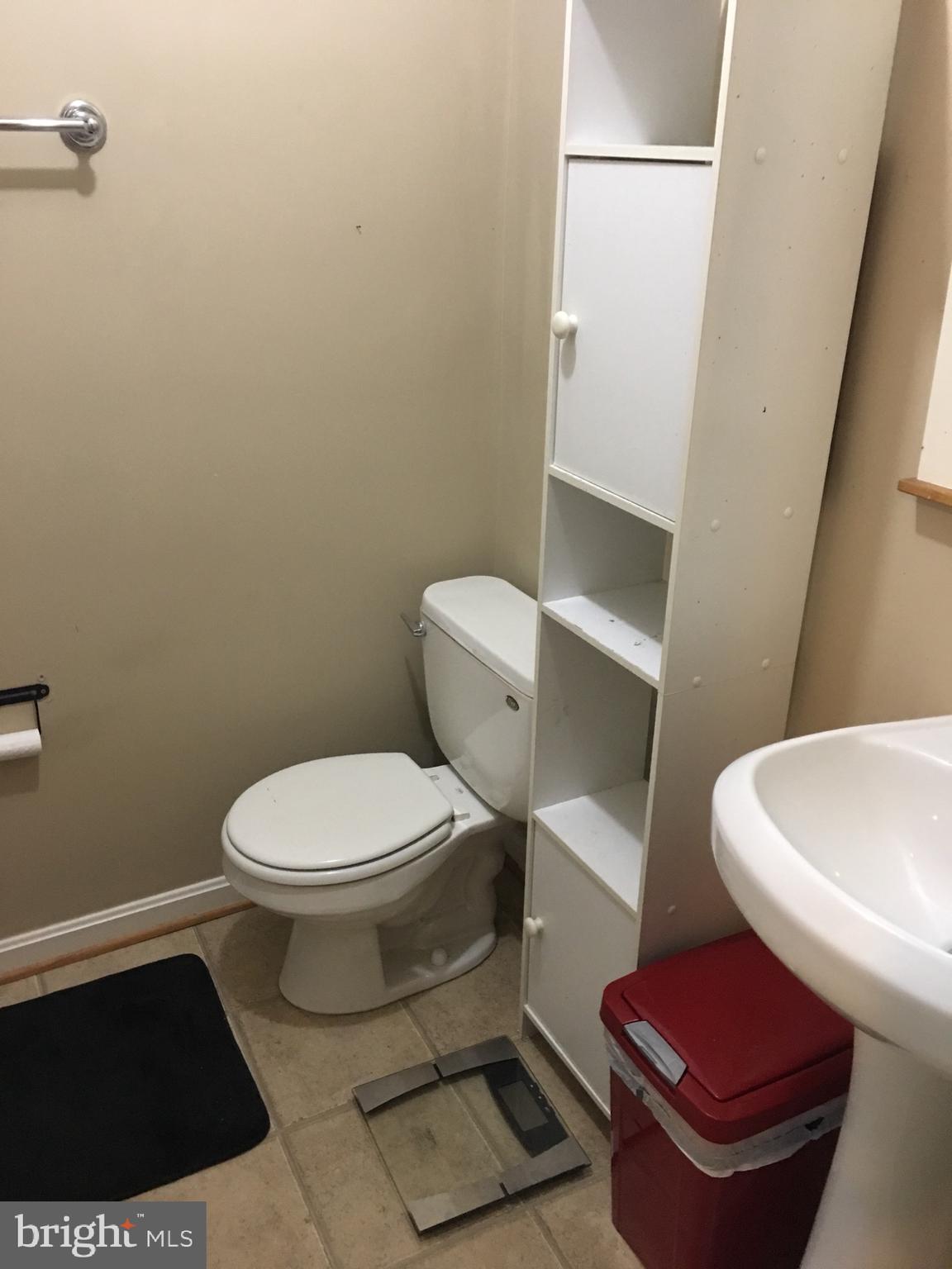 43506 Postrail Square Ashburn, VA 20147 - Photo 45 of 59 Lower level bath