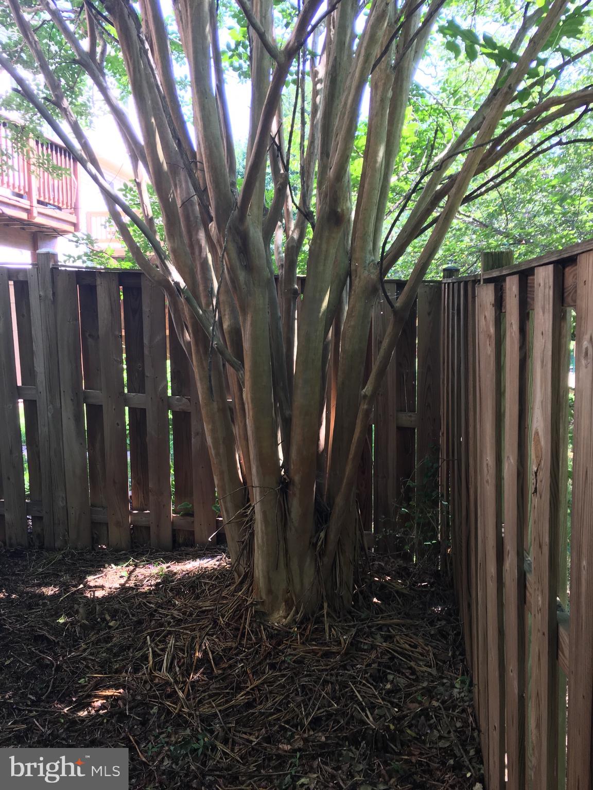 43506 Postrail Square Ashburn, VA 20147 - Photo 51 of 59 Mature trees.