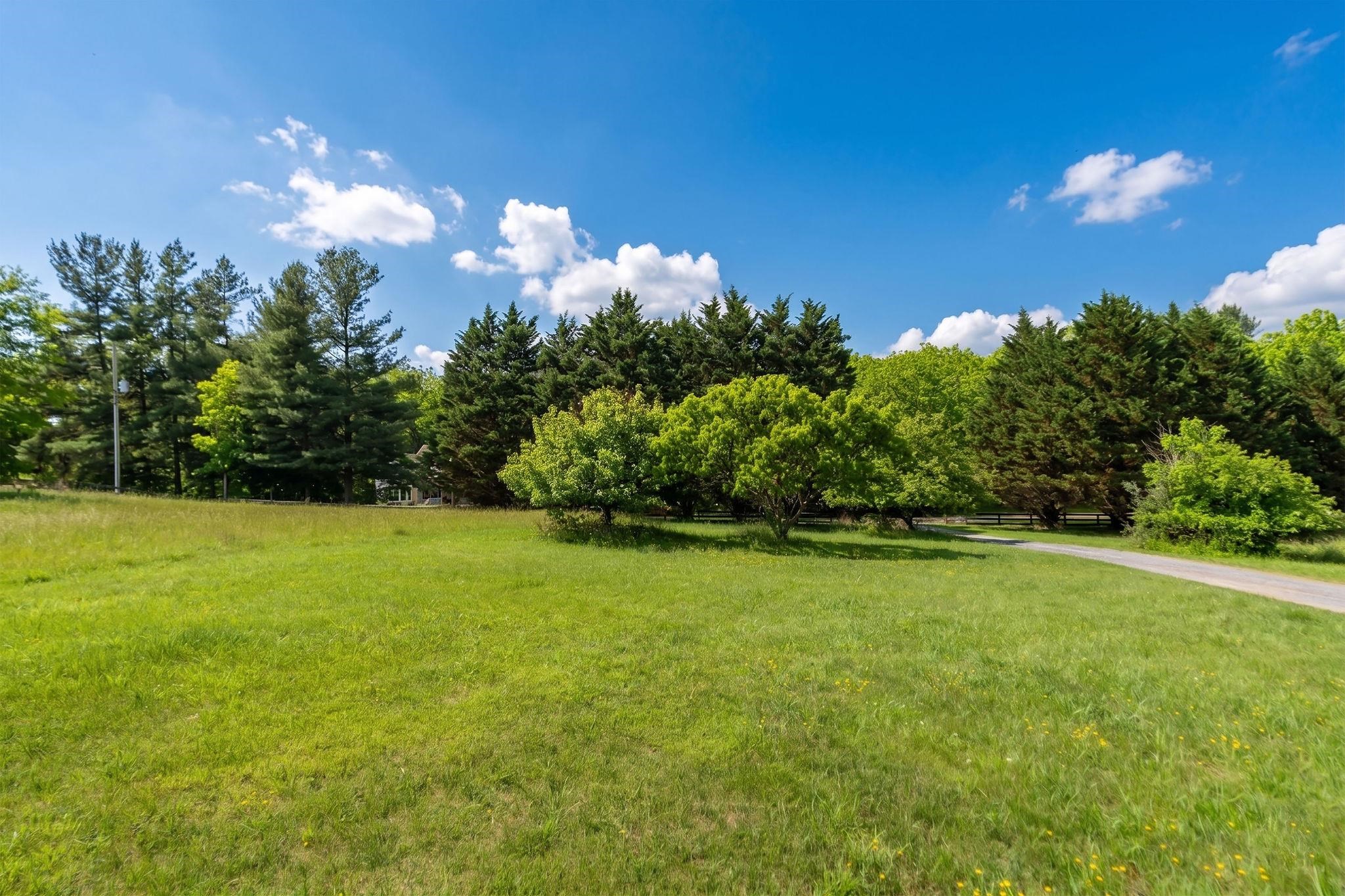 1057 Rockfish Road Waynesboro, VA 22980 - Photo 52 of 63