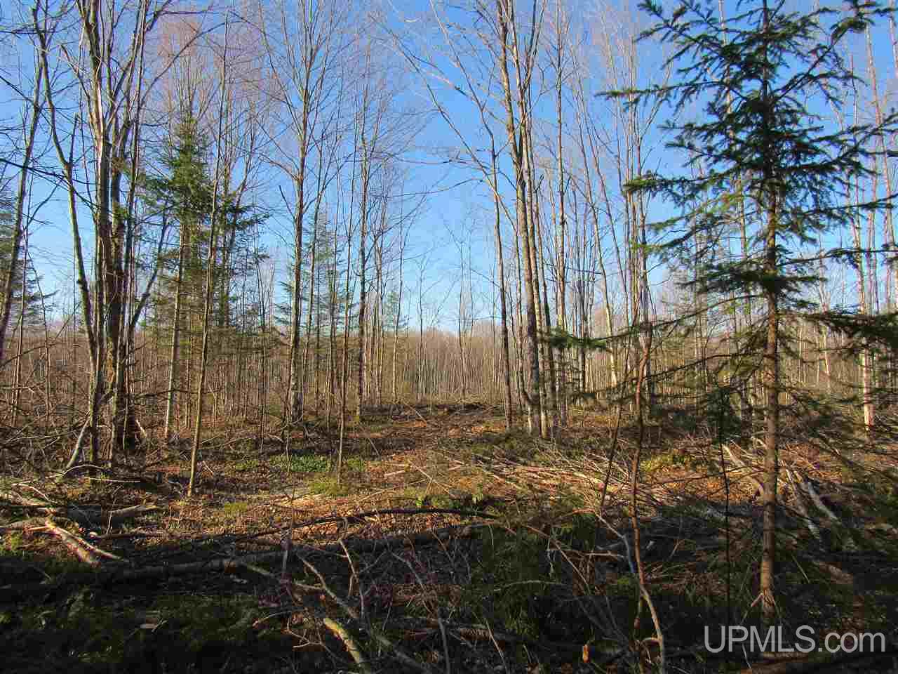 Tbd Tbd Mcmaster Road Skandia, MI 49885 - Photo 8 of 10